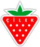 cilek